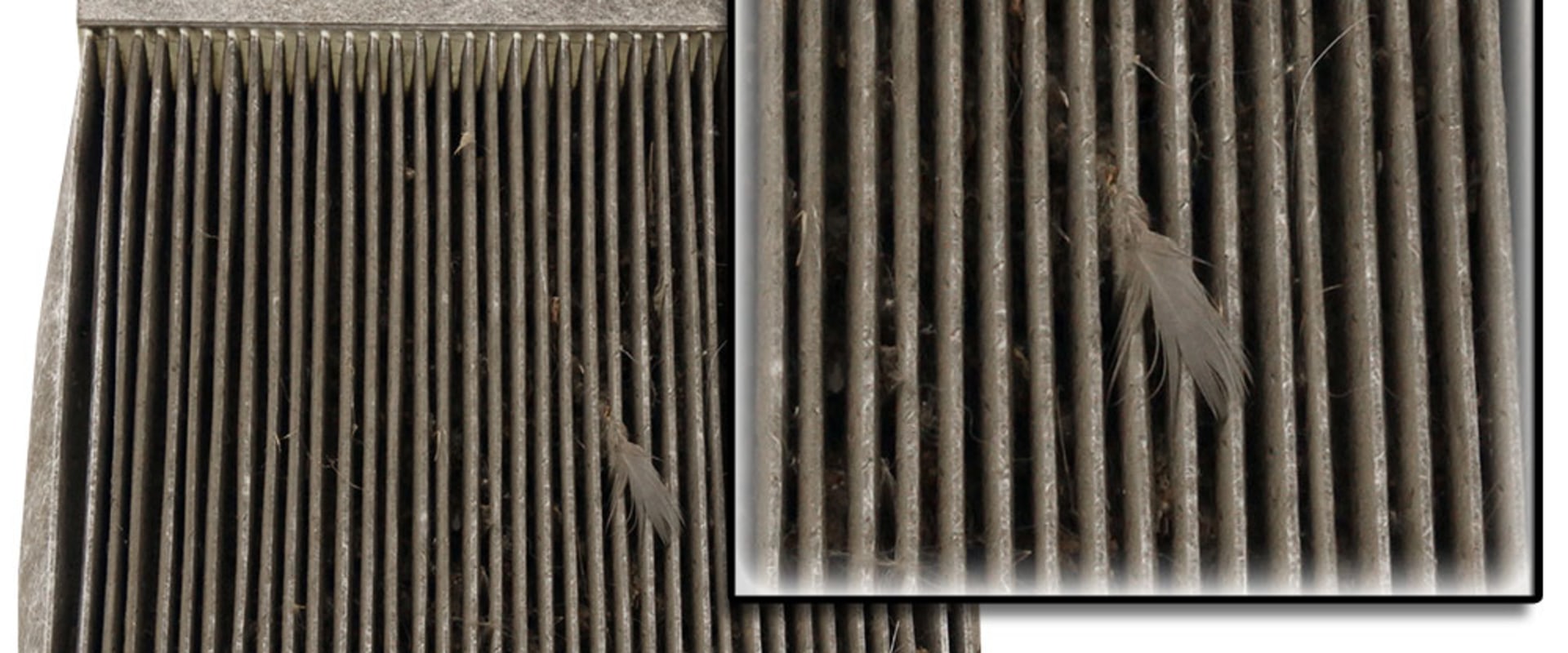 Can You Reuse Disposable Air Filters? An Expert's Guide to Cleaning and