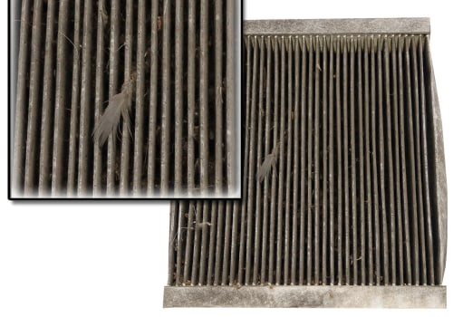 Can You Reuse Disposable Air Filters? An Expert's Guide to Cleaning and Replacing